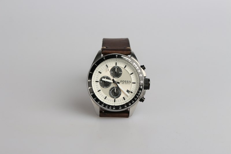 Meridian watch